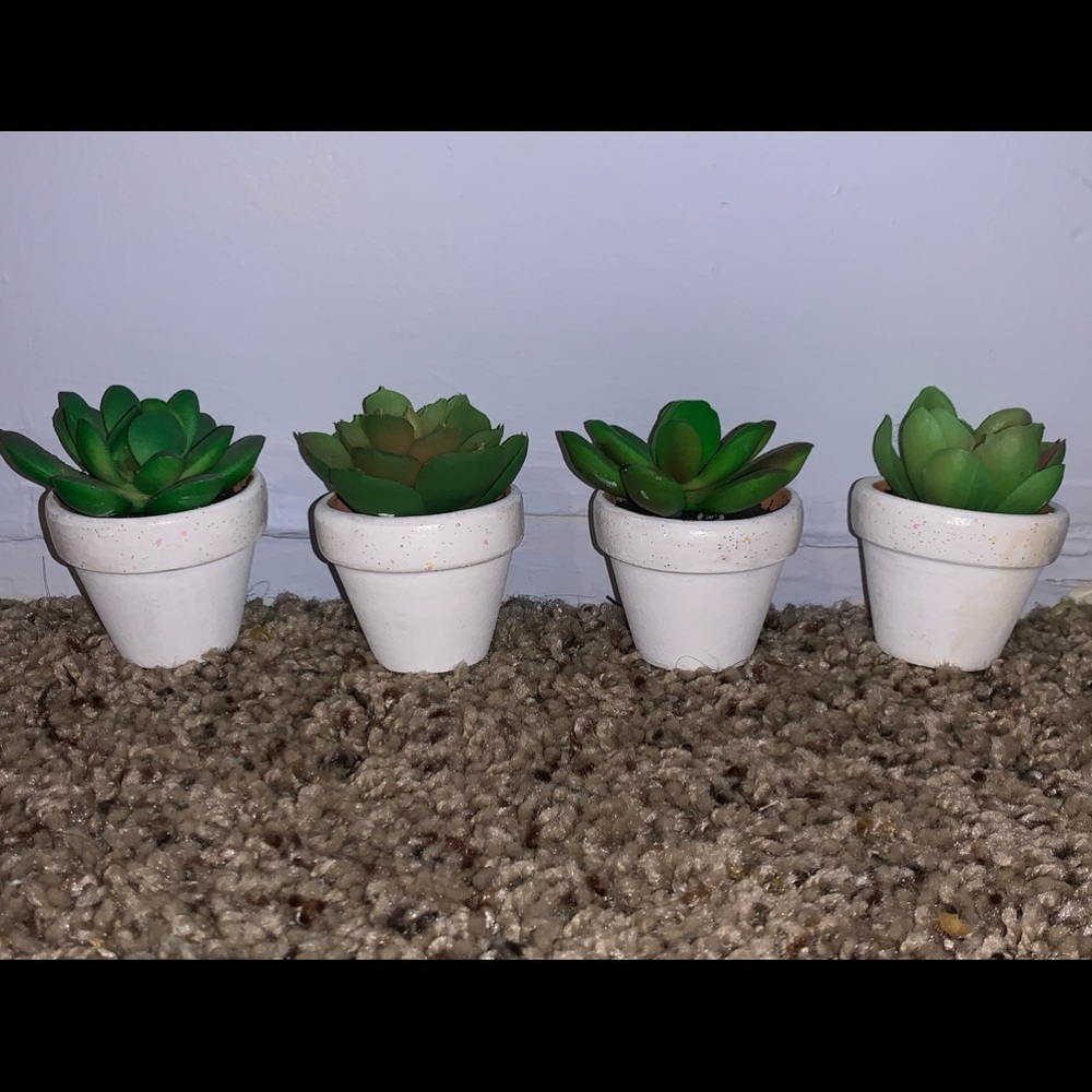 Plant Decor 4-Piece